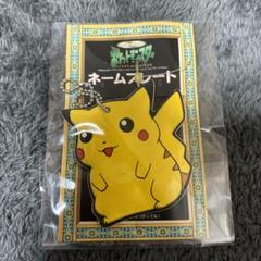 ポケットモンスター　初期ポケモン柄　ピカチュウ 表札　ネームプレート　レトロ ポケットモンスター初期ポケモン柄ピカチュウ 表札ネーム