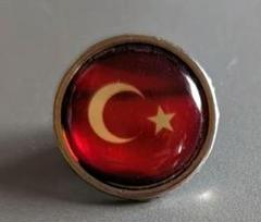 ピンズ　トルコのサムネイル
