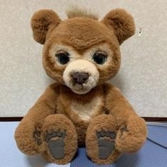 こぐまのカビー 楽天市場】【送料無料!】 ファーリアル 遊ぶのだいすき♪ こぐま