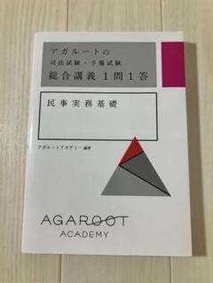 アガルート  総合講義　2021 アガルート 司法試験 2021 総合講義論証集 刑法 刑事訴訟法