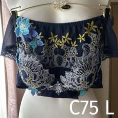 ワコール　サルート　ブラジャー　ショーツ　C75 L