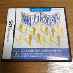 魅力改革 DS