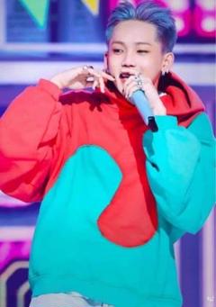 LIMITED EDITION】OFFICIAL LIGHT STICK HOODIE - GOODS