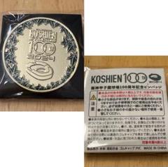 阪神タイガース　100周年　記念品　未開封 2025年最新】Yahoo!オークション -阪神タイガース 100周年の中古