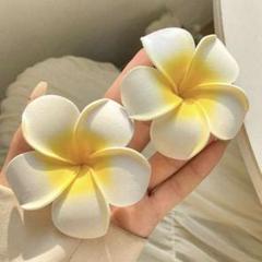 ハイビスカス　ヘアアクセサリー
