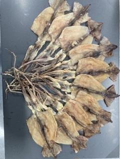 国内産干しスルメイカ　10枚　300g〜350g 干物　ジャーキー　あたりめのサムネイル