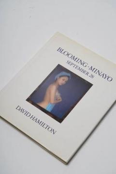 David Hamilton 写真集　図版　体位　構図　技術　芸術家 David Hamilton 写真集 図版 体位 構図 技術 芸術家