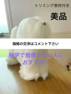 2025年最新】トリマー 教材の人気アイテム - メルカリ