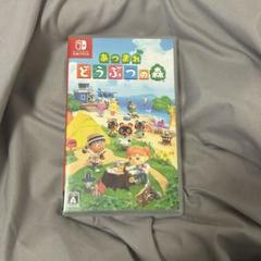 あつまれ どうぶつの森 Nintendo Switch