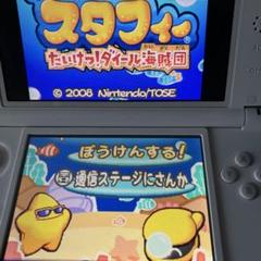 #任天堂DSソフト 伝説のスタフィー たいけつ！ダイール海賊団 ソフト