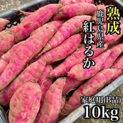 【専用】紅はるか 訳あり 20kg さつまいも シルクスイート好きに719 Amazon | 【MSKSHOP】最高級 シルクスイート 紅はるか 食べ比べ