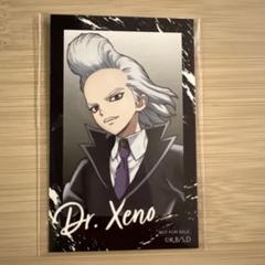 缶バッジ「Dr.STONE」20/ブラインド(8種)(ミニキャライラスト