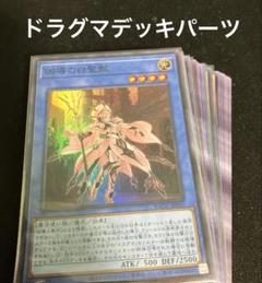 遊戯王　凶導　ドラグマデッキパーツ
