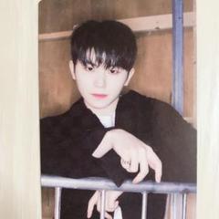 SEVENTEEN ウジ　CARAT LANDトレカ