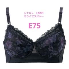 シャルレミライ ブラジャー FA281 │ 通販 │ シャルレ ウェブストア