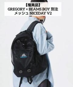 未使用 GREGORY × BEAMSBOY別注 メッシュ NICEDAY V2 未使用 GREGORY × BEAMSBOY別注 メッシュ NICEDAY V2 - メルカリ