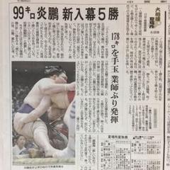 炎鵬 2019年5月場所 大相撲 中国新聞