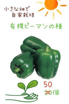 有機ピーマンの種 50個のサムネイル