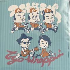 スチャダラパーとEgo-Wrappin'ミクロボーイとマクロガール　未使用送料込