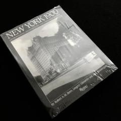 ニューヨークの建築と都市計画 写真資料集 New York 1900