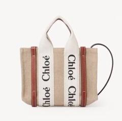 Chloé | Woody white and brown mini bag | Savannahs