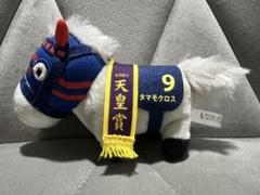 タマモクロス　ぬいぐるみ　黒メンコ（吸盤付き） 2025年最新】タマモクロス ぬいぐるみの人気アイテム - メルカリ