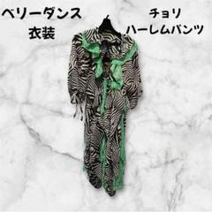 ゼブラ柄 ベリーダンス衣装 チョリ ハーレムパンツ 上下セット