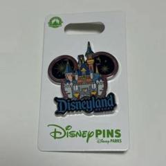 ディズニー レア フロリダ ディズニーワールド ピンバッジ フロリダ ディズニーワールド アリエル ピンバッジ - メルカリ
