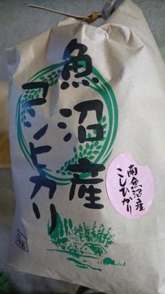 南魚沼産コシヒカリしおざわ西山地区 令和1年産 精米5㎏