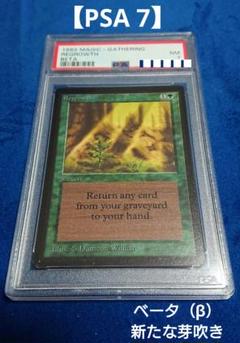 【PSA7 NM】MTG ベータ（β） 英語 新たな芽吹き 鑑定品 PSA7 NM】MTG ベータ（β） 英語 新たな芽吹き 鑑定品 - メルカリ