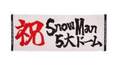 2025年最新】SnowMAN タオル 2024の人気アイテム - メルカリ