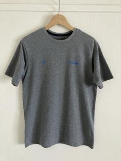 Patagonia パタゴニア レスポンシビリティー