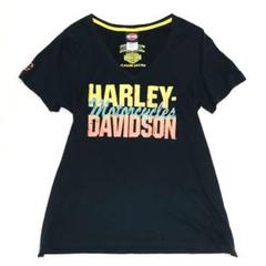 ハーレーダビッドソン Vネック Tシャツ 半袖 XXL 刺繍 アメリカン
