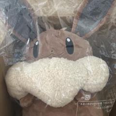 中古　ボタンのイーブイリュック Amazon | ポケモンセンターオリジナル ボタンのイーブイリュック