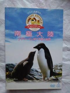 南極大陸 DVD-BOX〈8枚組〉　新品未使用品 南極大陸 DVD-BOX〈8枚組〉