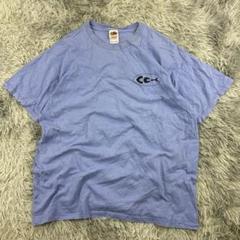 フルーツオブザルームヴィンテージグラフィックTシャツ/アメリカ古着/ブルー
