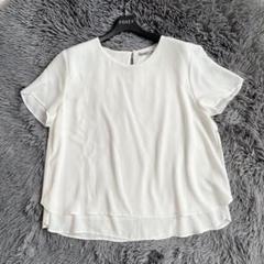 【美品】 セオリーリュクス シフォンブラウス レイヤード 大きいサイズ 42