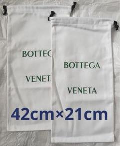 Bottega Veneta シューズ　ケアバッグ　2枚セット