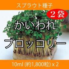 スプラウト種子 S-01 かいわれブロッコリー 10ml x 2袋