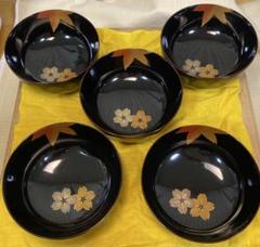 【未使用】輪島塗 大向高洲堂 黒呂色 亀甲松沈金 煮物椀5客 雑煮椀/合鹿椀 輪島塗 煮物椀 5客 大向高洲堂 - メルカリ