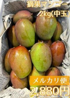 摘果マンゴー