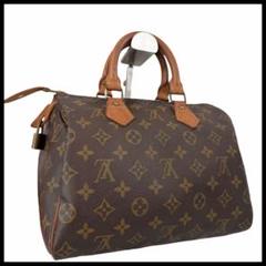【美品】 LOUIS VUITTON ルイヴィトン スピーディ25 モノグラム