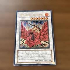 【遊戯王】美品ブラックローズドラゴン　ホログラフィック 遊戯王 ブラックローズ・ドラゴン ホログラフィックレア CSOC
