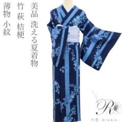 正絹 夏着物 紗“海原を進む桔梗や萩、松まり！”秋柄 袋帯 R-48