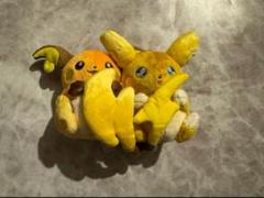 にたものどうし　ライチュウ＆アローラライチュウセット