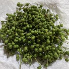 庭の花山椒　100グラム　無農薬 本日　メルカリ便で発送 庭の花山椒 100グラム 無農薬 本日 メルカリ便で発送 食品