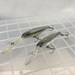 イマカツ　ジレンマ60 スティープ　7セット　ルアーセット　ミノー Dilemma60 Steep - ジレンマ60 スティープ -｜Lure | PRODUCTS