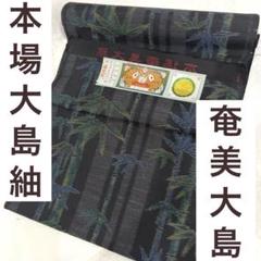 新品未使用品　本場奄美大島紬　反物　着物　正絹　シルク　端糸　貴重な反物 楽天市場】【新品】 本場奄美大島紬 着物 大島紬 反物 正絹 着尺