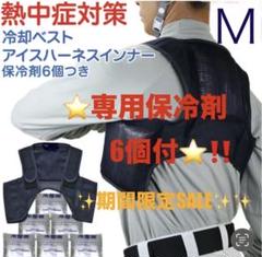 【新品 】保冷剤6個 冷却ベスト クールベスト アイスハーネス Ｌ5セット 冷却ベスト アイスハーネス スタンダード 保冷剤6個付き 暑さ