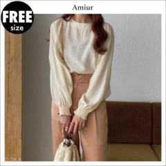 新品 Amiur エミレ シアー トップス セット売り まとめ売り 人気